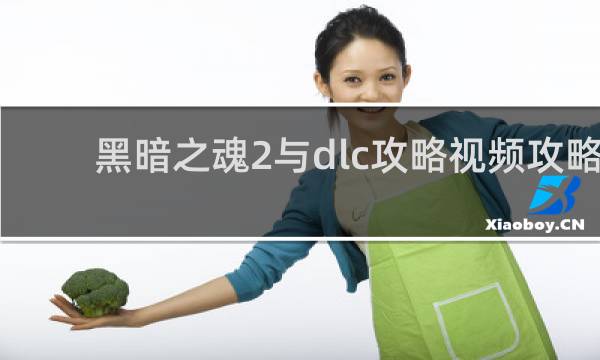 黑暗之魂2与dlc攻略视频攻略