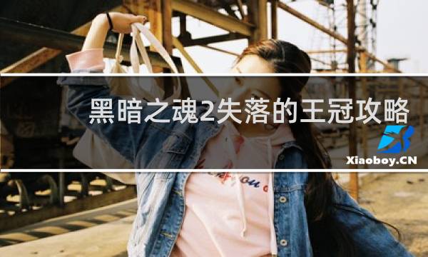 黑暗之魂2失落的王冠攻略