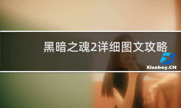 黑暗之魂2详细图文攻略