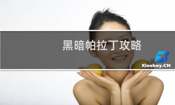 黑暗帕拉丁攻略