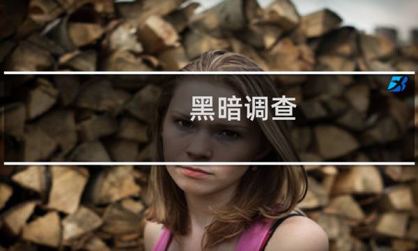 黑暗调查 攻略