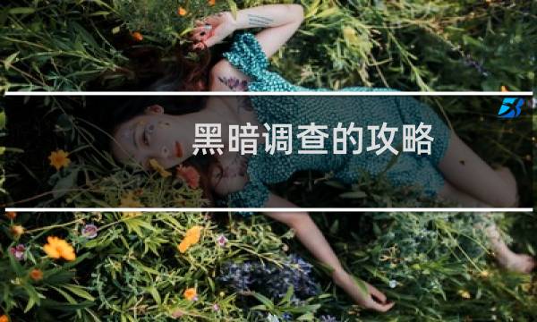 黑暗调查的攻略