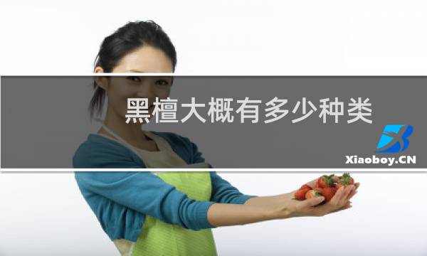 黑檀大概有多少种类