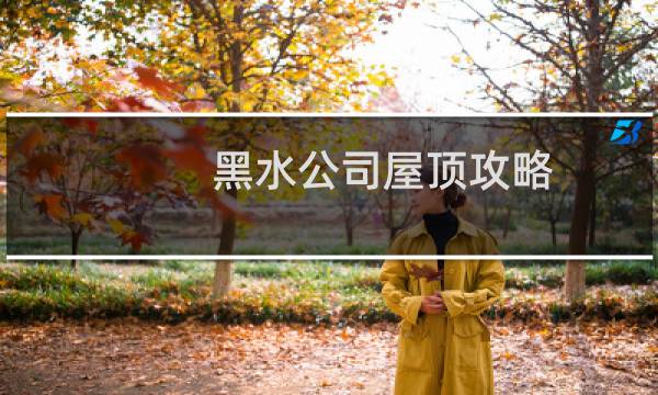 黑水公司屋顶攻略