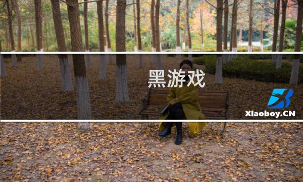 黑游戏 攻略