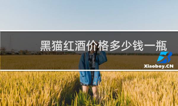 黑猫红酒价格多少钱一瓶?
