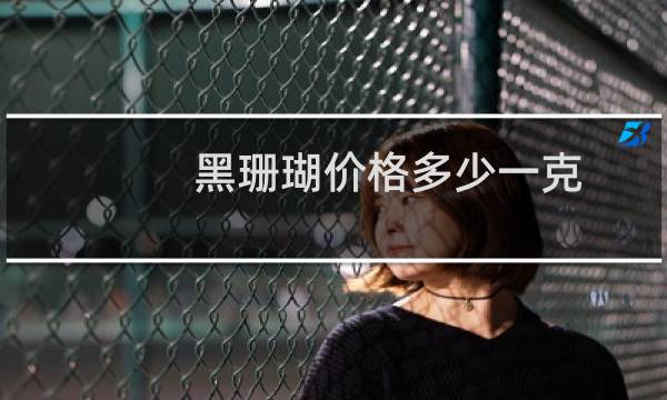 黑珊瑚价格多少一克