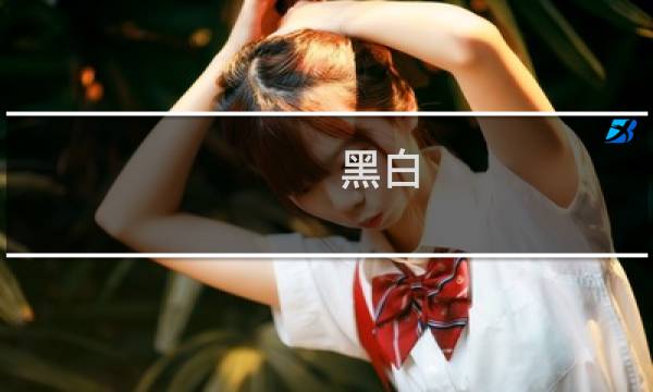 黑白 游戏攻略