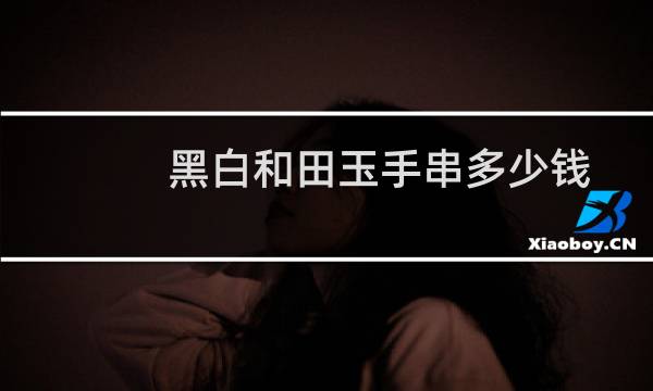 黑白和田玉手串多少钱