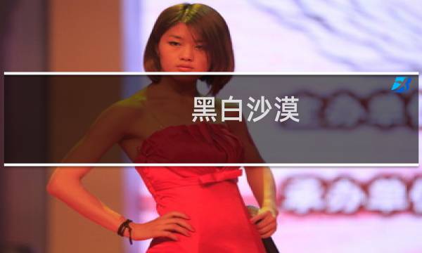 黑白沙漠 攻略