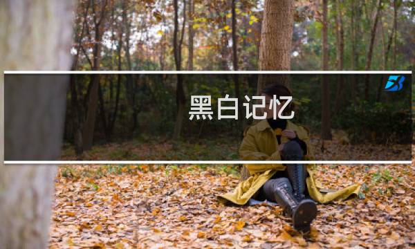 黑白记忆 攻略