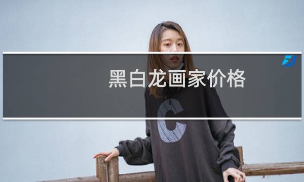 黑白龙画家价格