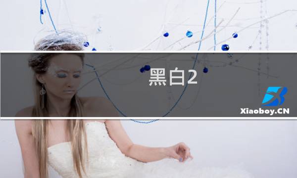 黑白2 二周目攻略