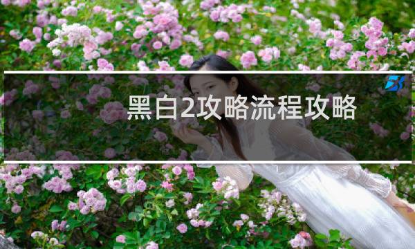 黑白2攻略流程攻略