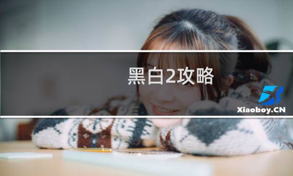 黑白2攻略