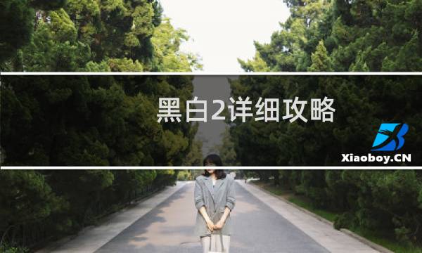 黑白2详细攻略
