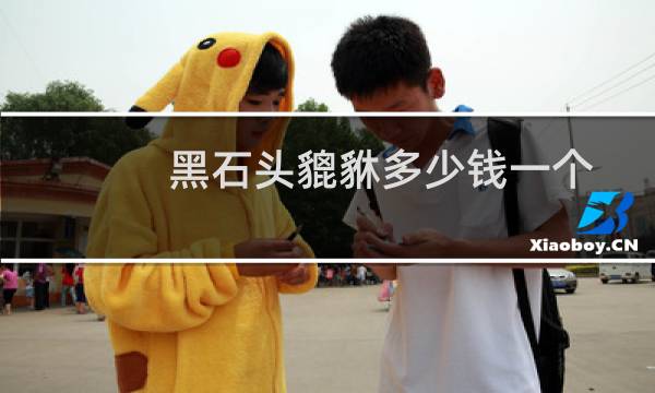 黑石头貔貅多少钱一个