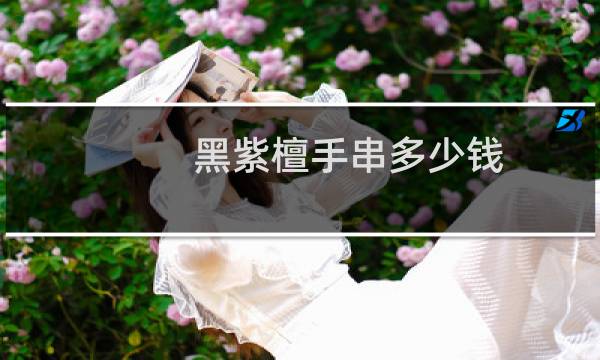 黑紫檀手串多少钱