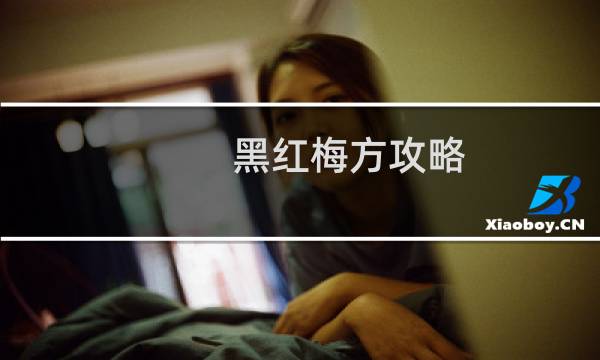 黑红梅方攻略