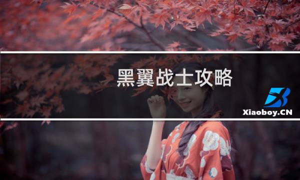 黑翼战士攻略
