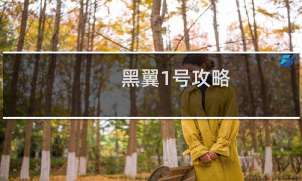 黑翼1号攻略