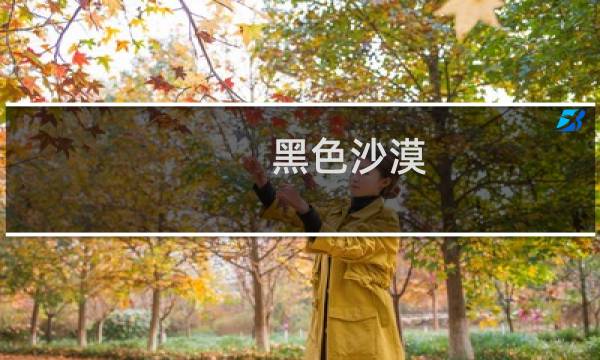 黑色沙漠 星座