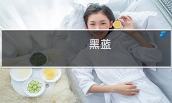 黑蓝 攻略