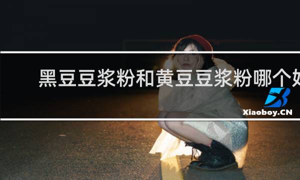 黑豆豆浆粉和黄豆豆浆粉哪个好