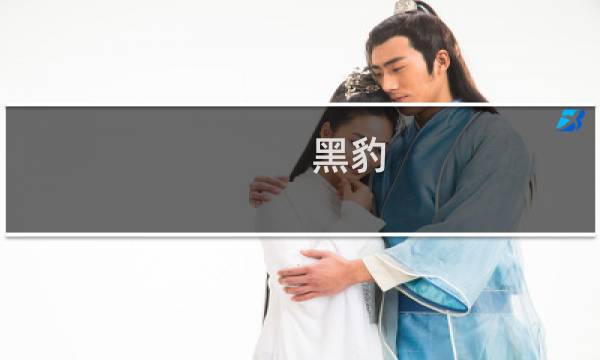黑豹 如龙新章攻略