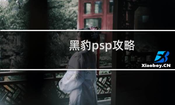 黑豹psp攻略