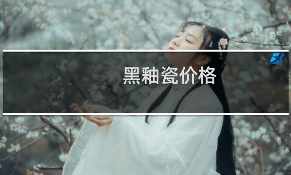 黑釉瓷价格