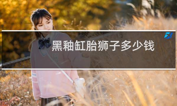 黑釉缸胎狮子多少钱
