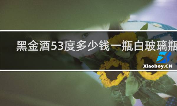 黑金酒53度多少钱一瓶白玻璃瓶的