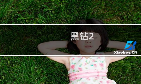 黑钻2.5克拉多少钱