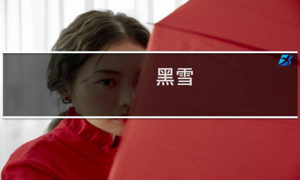 黑雪 攻略