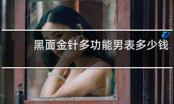 黑面金针多功能男表多少钱