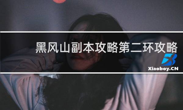 黑风山副本攻略第二环攻略