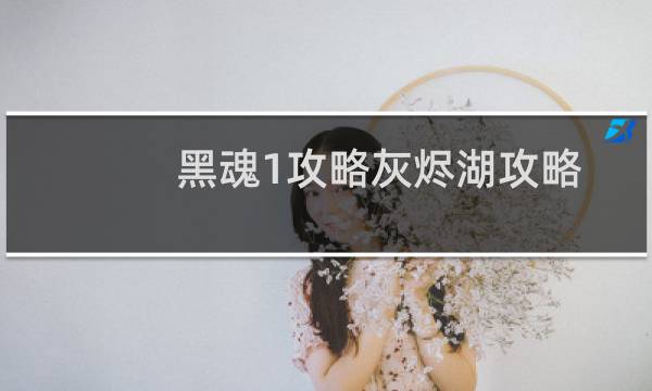 黑魂1攻略灰烬湖攻略