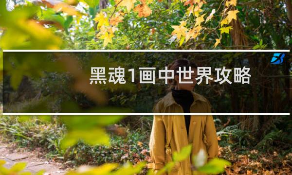 黑魂1画中世界攻略