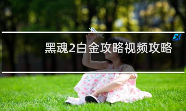 黑魂2白金攻略视频攻略