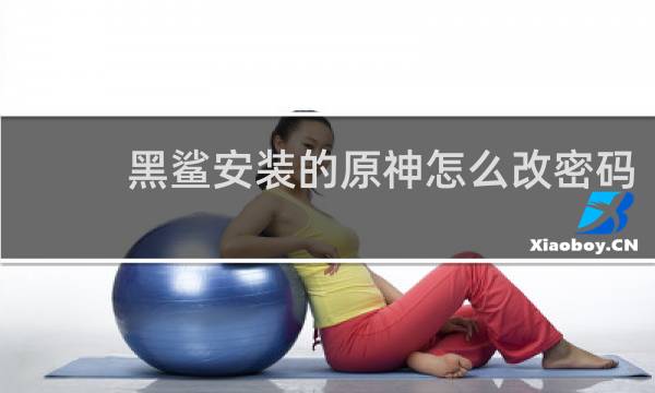 黑鲨安装的原神怎么改密码