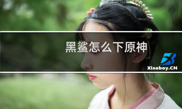 黑鲨怎么下原神