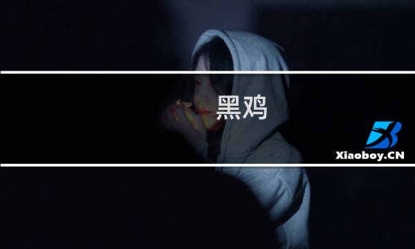 黑鸡 攻略