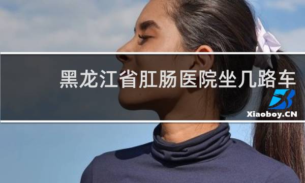 黑龙江省肛肠医院坐几路车