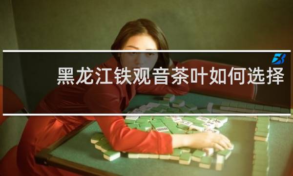 黑龙江铁观音茶叶如何选择