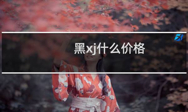 黑xj什么价格