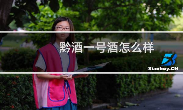 黔酒一号酒怎么样