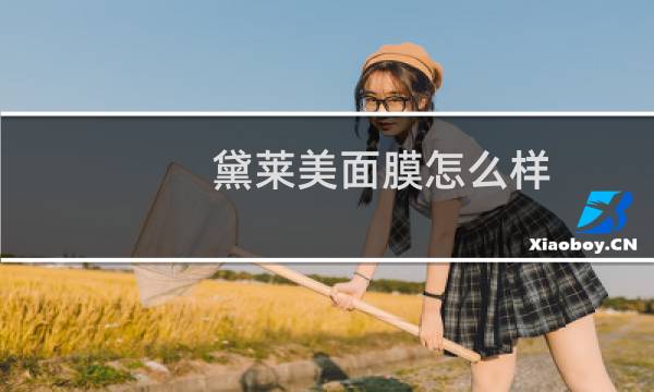 黛莱美面膜怎么样