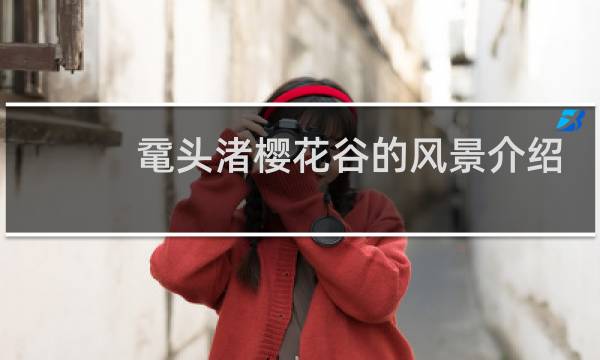 鼋头渚樱花谷的风景介绍