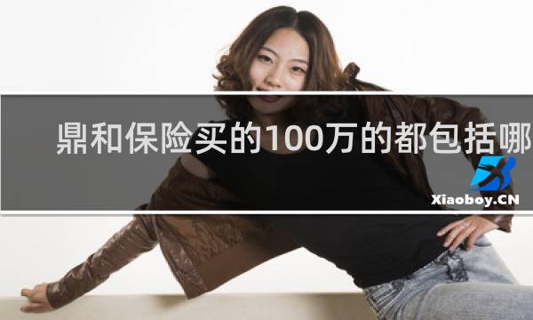 鼎和保险买的100万的都包括哪些